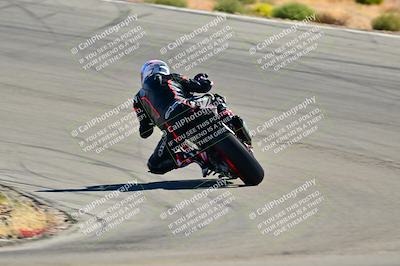 media/Oct-24-2025-2WTD (Fri) [[491f36c2bf]]/B Group/Session 3 (Turn 5)/